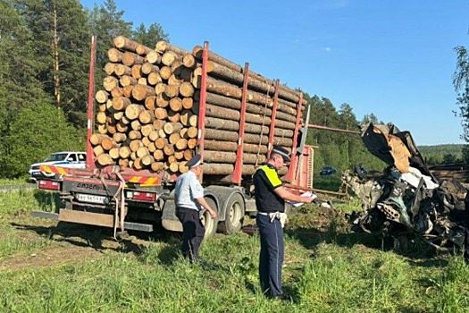 Мужчина погиб в ДТП с лесовозом на уральской трассе